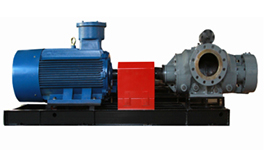 2GaS-系列双螺杆泵产品图1