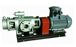 2GbS-系列双螺杆泵产品图2